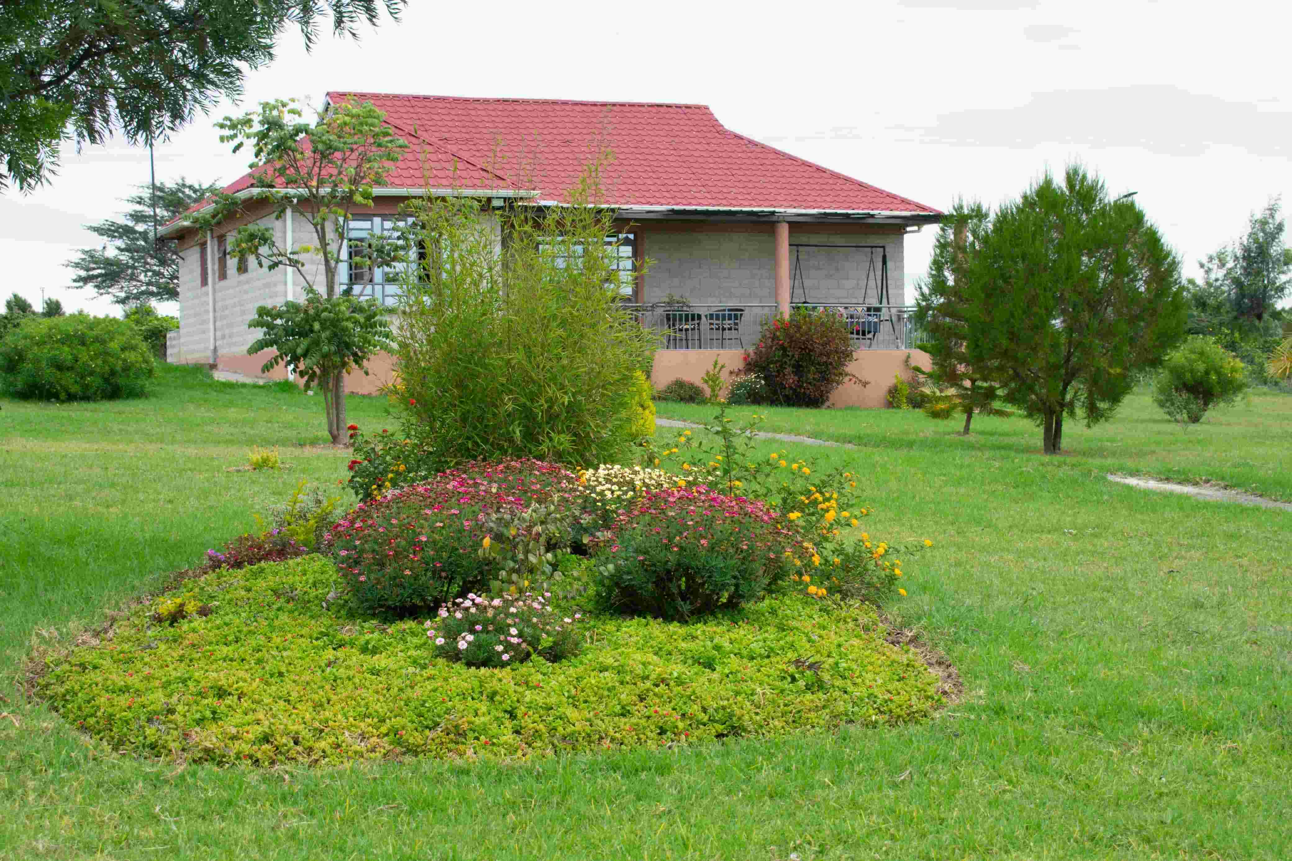 Orange Blossom Cottage