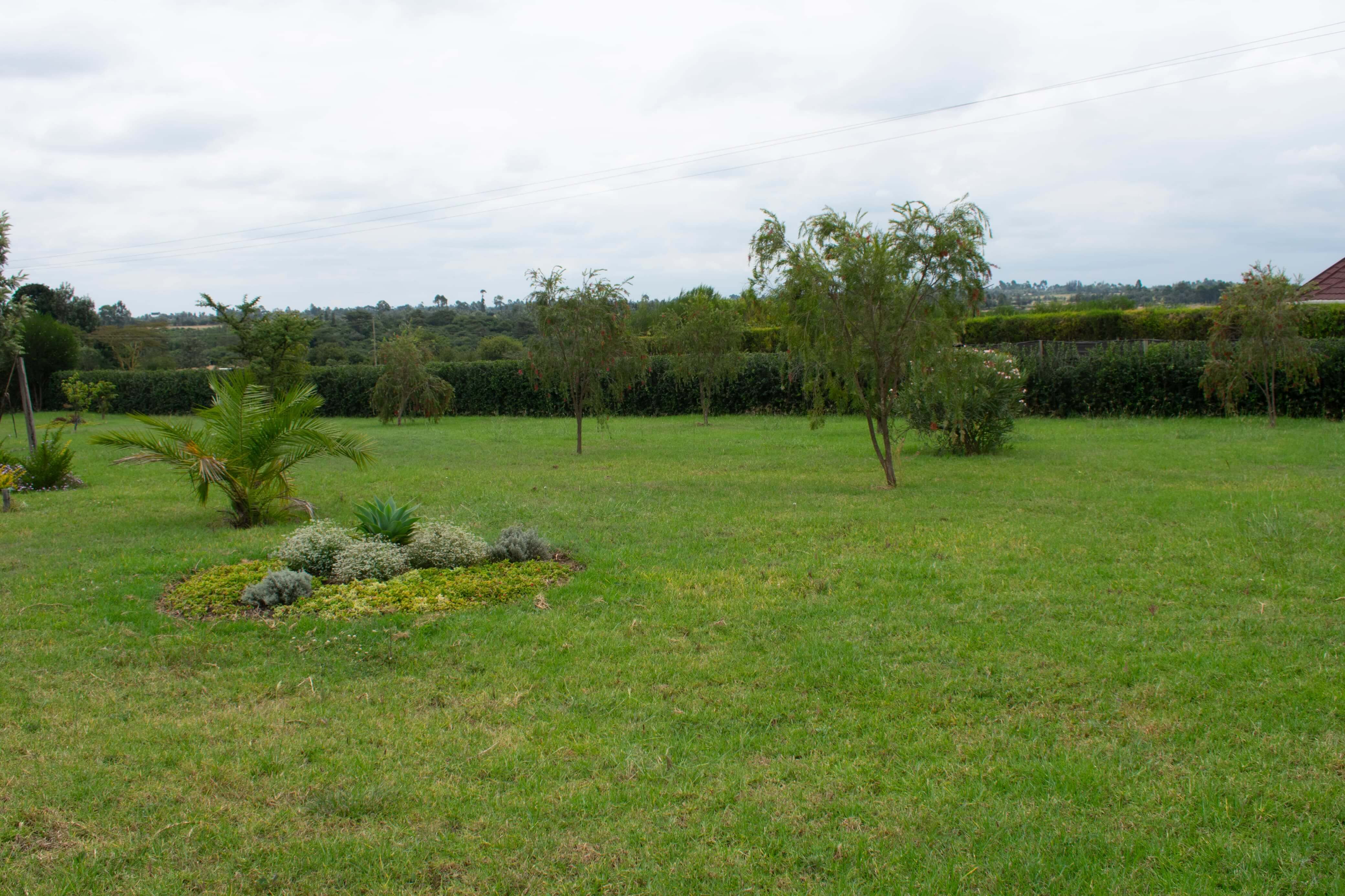 Scenic camping area with bonfire zones, gazebo hangout and beautiful stargazing spots